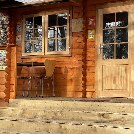 ניוטון אבוט Retro Private Lodge With Hot Tub Nr Dartmoor מראה חיצוני תמונה
