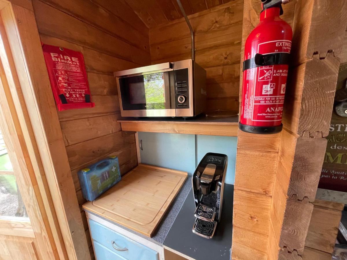 ניוטון אבוט Retro Private Lodge With Hot Tub Nr Dartmoor מראה חיצוני תמונה