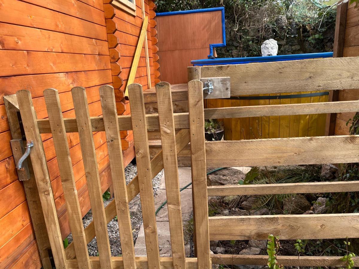 ניוטון אבוט Retro Private Lodge With Hot Tub Nr Dartmoor מראה חיצוני תמונה