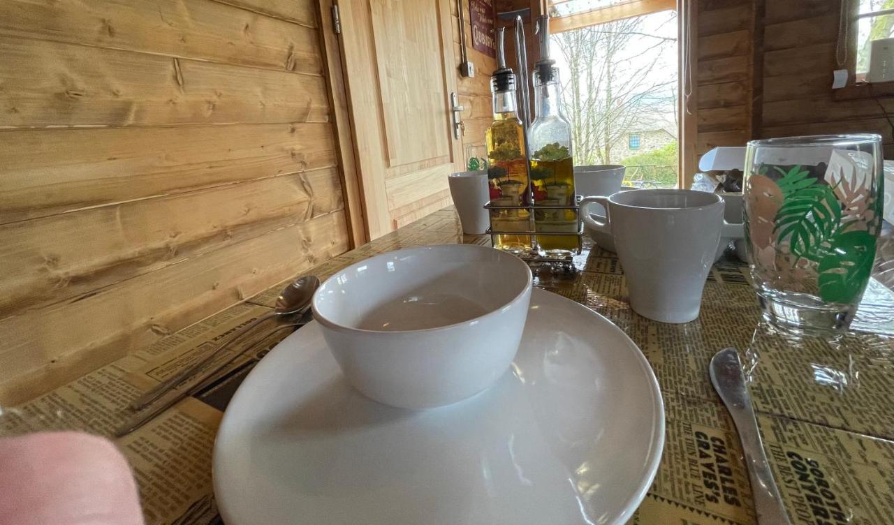 ניוטון אבוט Retro Private Lodge With Hot Tub Nr Dartmoor מראה חיצוני תמונה