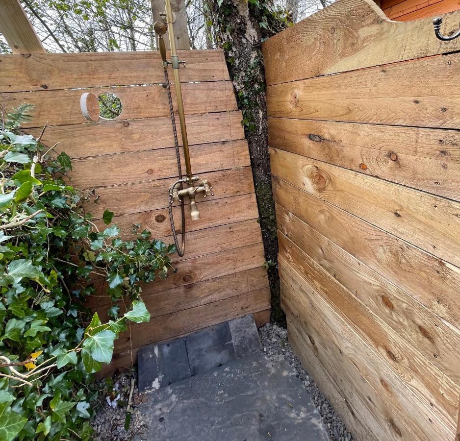 ניוטון אבוט Retro Private Lodge With Hot Tub Nr Dartmoor מראה חיצוני תמונה