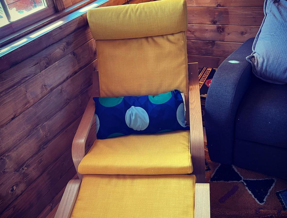 ניוטון אבוט Retro Private Lodge With Hot Tub Nr Dartmoor מראה חיצוני תמונה