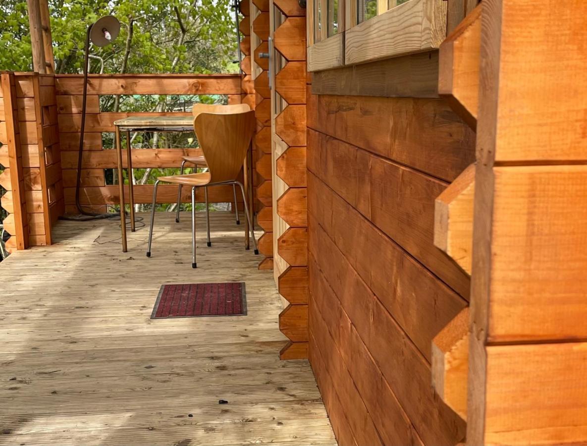 ניוטון אבוט Retro Private Lodge With Hot Tub Nr Dartmoor מראה חיצוני תמונה