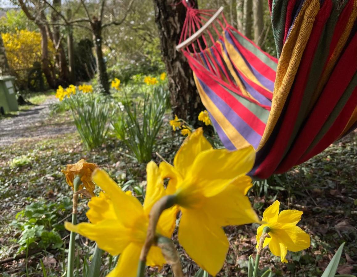 ניוטון אבוט Retro Private Lodge With Hot Tub Nr Dartmoor מראה חיצוני תמונה