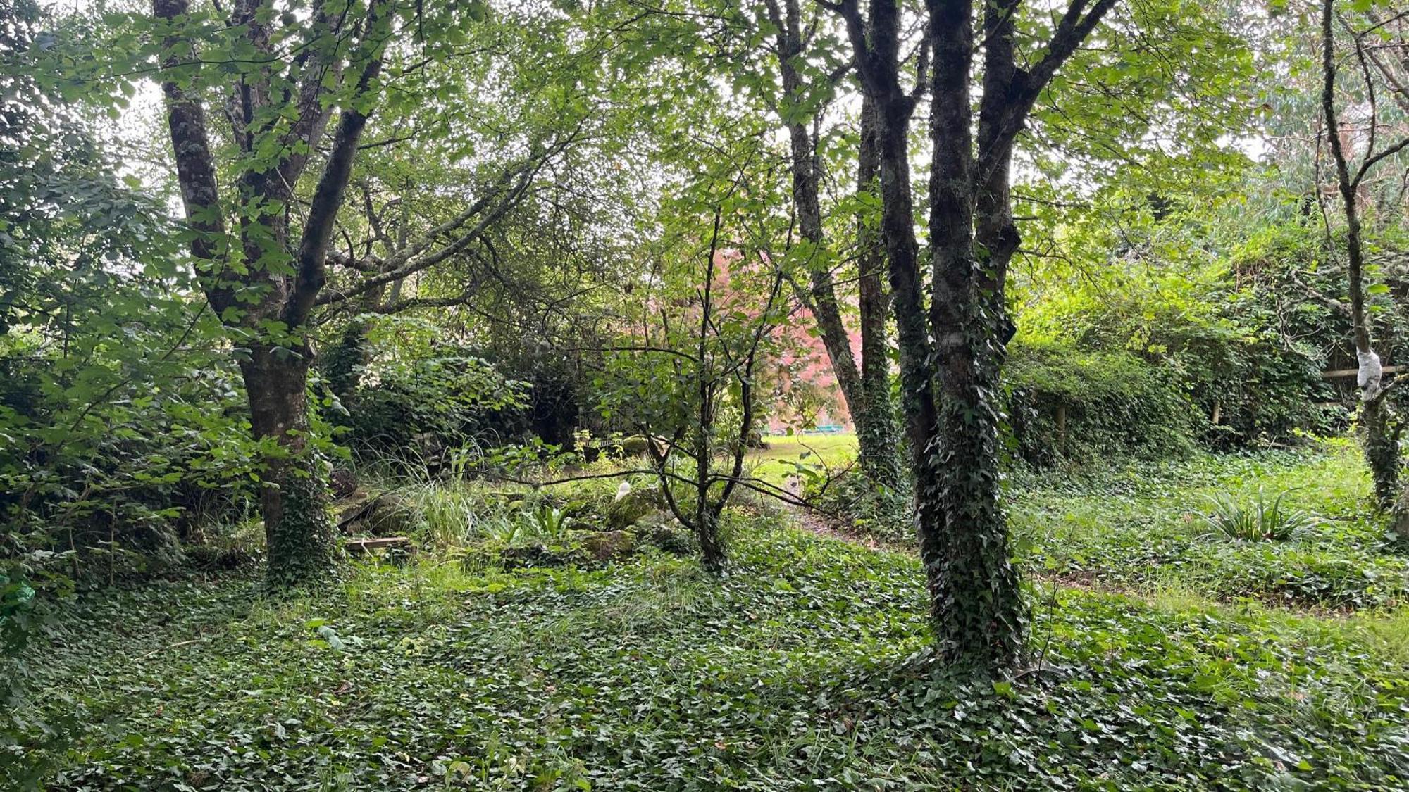 ניוטון אבוט Retro Private Lodge With Hot Tub Nr Dartmoor מראה חיצוני תמונה